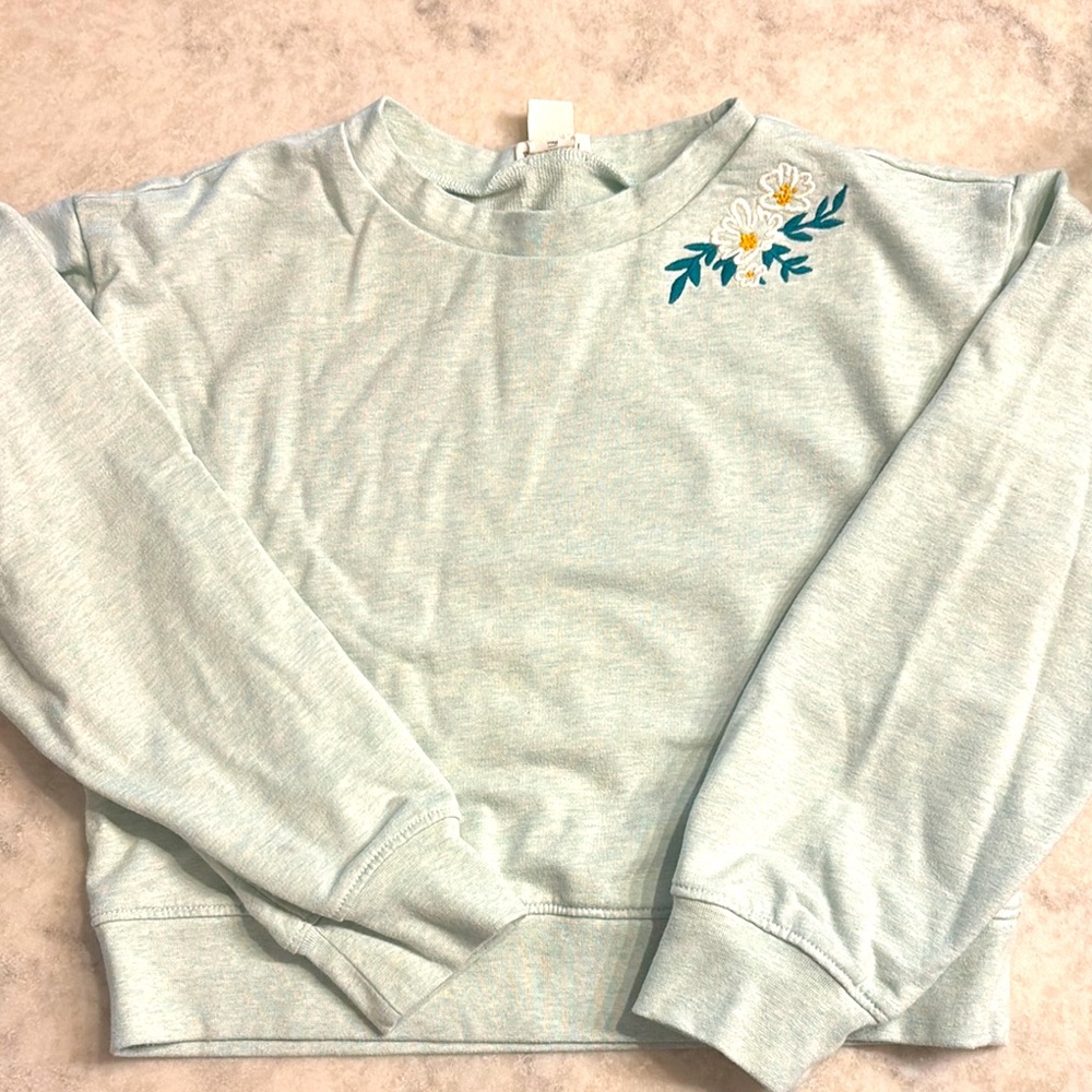 Crewcuts Sky Blue Sweatshirt with Floral Embroidery